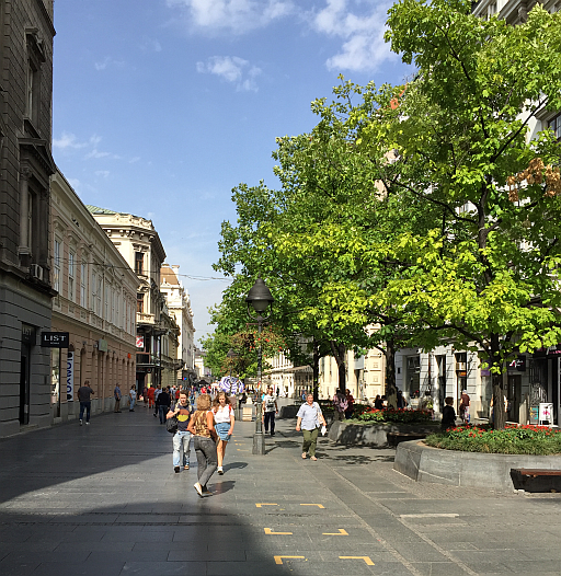 Knez Mihaylova Caddesi, Belgrad